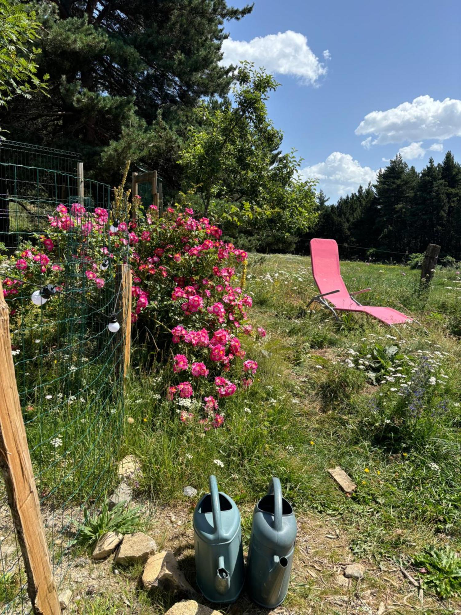 Le serpolet Les Angles  Extérieur photo